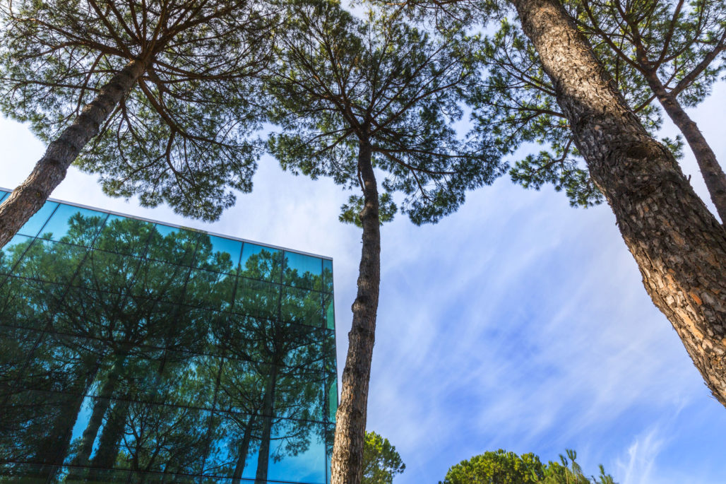 Locazione_Uffici_Woliba_Roma_6